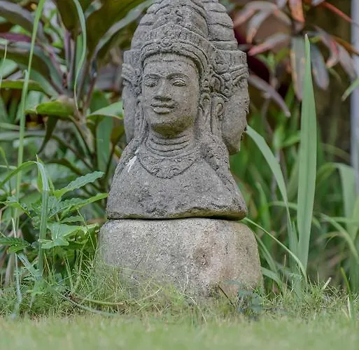 Ben Bali